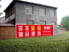 安吉如何让墙体广告展现最大化效果