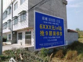 安吉墙体广告质量分析
