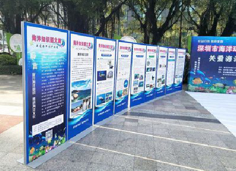 安吉KT板的种类和知识。